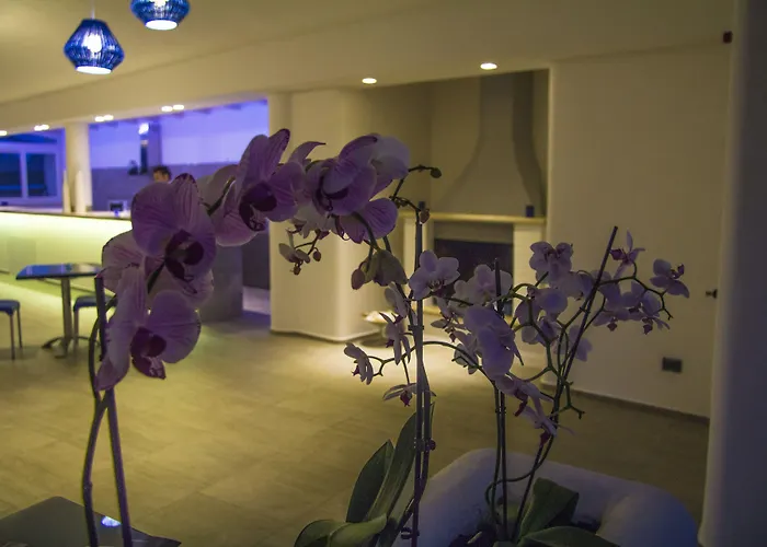La Bella Trani - Suites&B&B